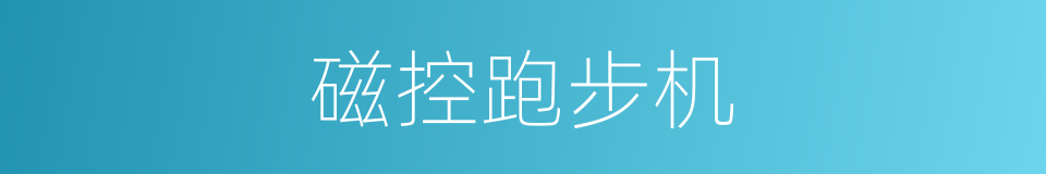磁控跑步机的同义词