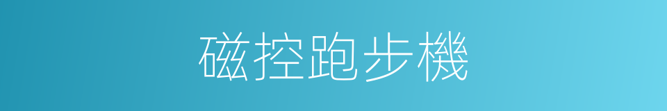 磁控跑步機的同義詞