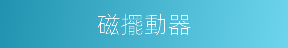 磁擺動器的同義詞