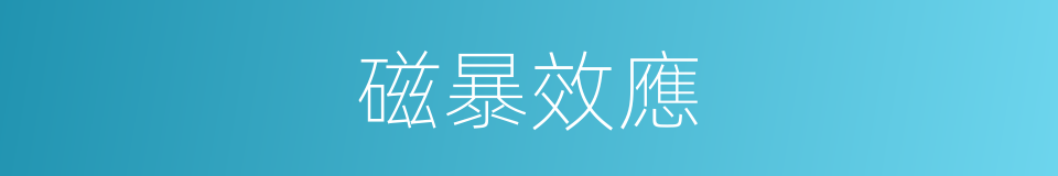 磁暴效應的同義詞