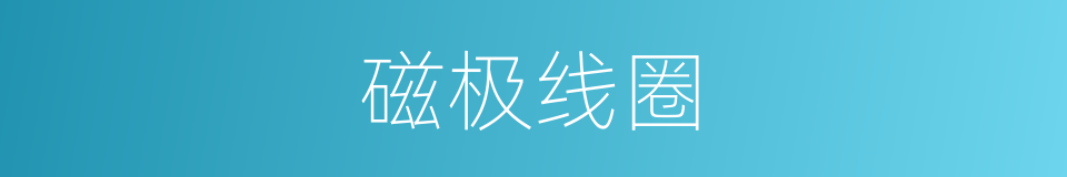 磁极线圈的同义词