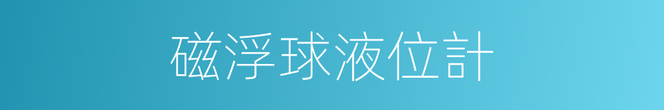 磁浮球液位計的同義詞