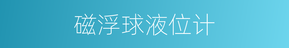 磁浮球液位计的同义词