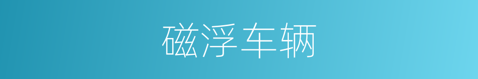 磁浮车辆的同义词