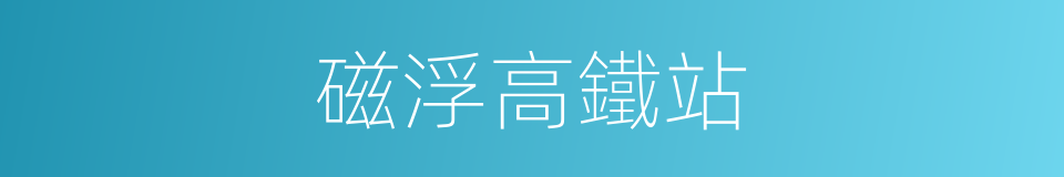 磁浮高鐵站的同義詞