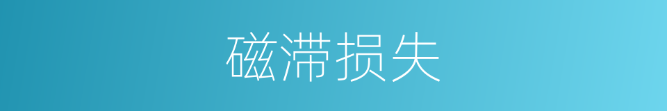 磁滞损失的同义词