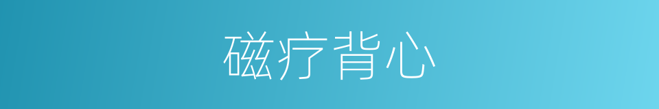 磁疗背心的同义词