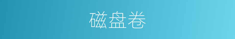 磁盘卷的同义词