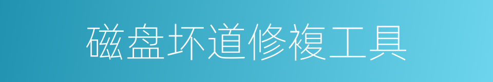 磁盘坏道修複工具的同义词