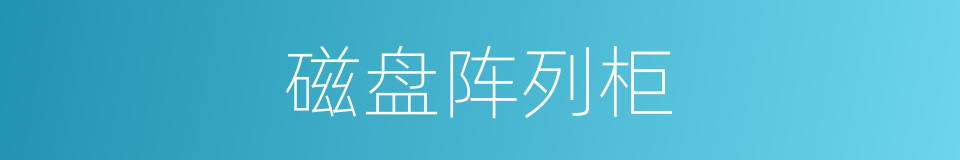 磁盘阵列柜的同义词