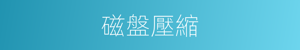 磁盤壓縮的同義詞