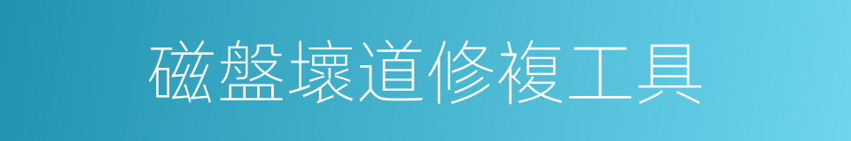 磁盤壞道修複工具的同義詞