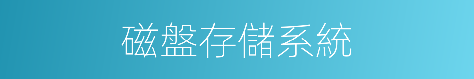 磁盤存儲系統的同義詞