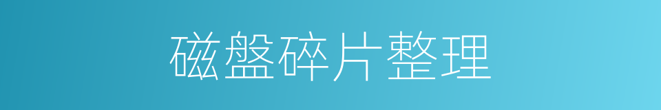 磁盤碎片整理的同義詞