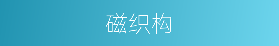 磁织构的同义词