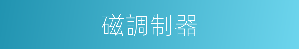 磁調制器的同義詞