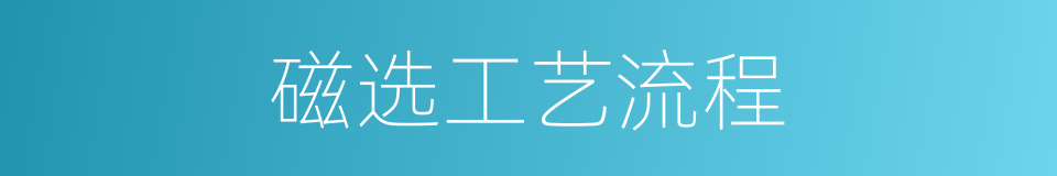 磁选工艺流程的同义词