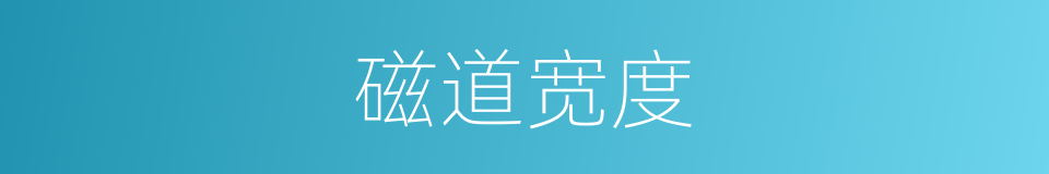 磁道宽度的同义词