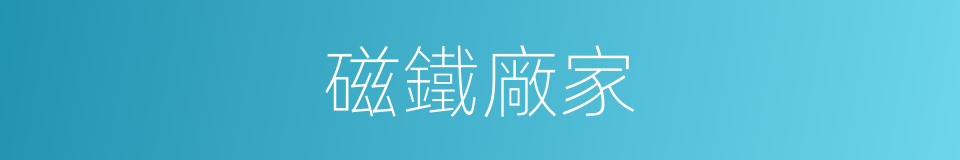 磁鐵廠家的同義詞