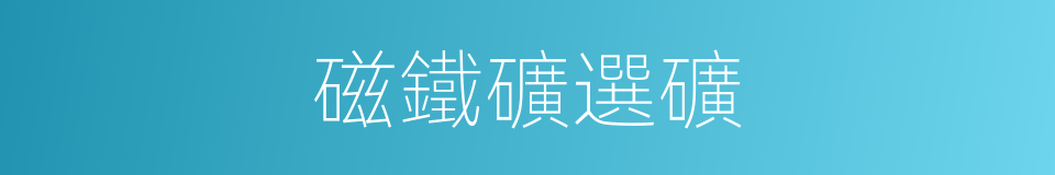 磁鐵礦選礦的同義詞