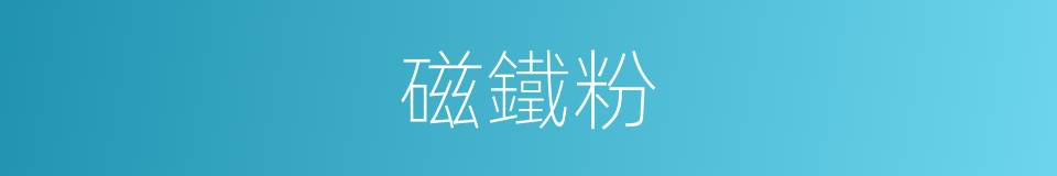 磁鐵粉的同義詞