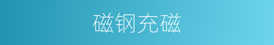 磁钢充磁的同义词