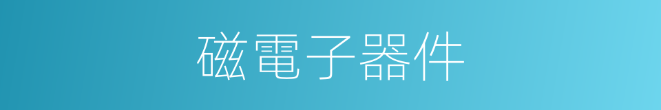 磁電子器件的同義詞