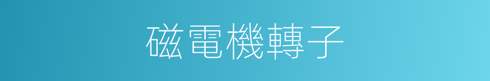 磁電機轉子的同義詞