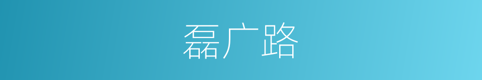 磊广路的同义词