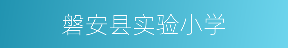 磐安县实验小学的同义词