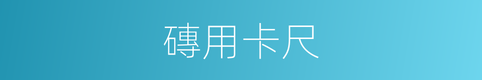 磚用卡尺的同義詞