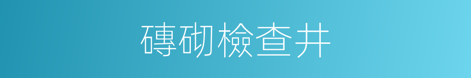 磚砌檢查井的同義詞