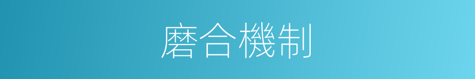 磨合機制的同義詞