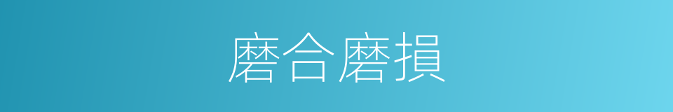 磨合磨損的同義詞