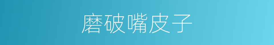 磨破嘴皮子的同义词