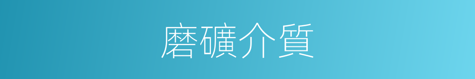磨礦介質的同義詞