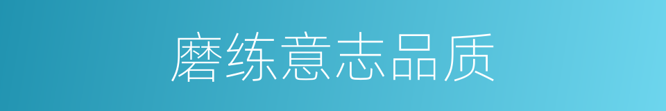 磨练意志品质的同义词