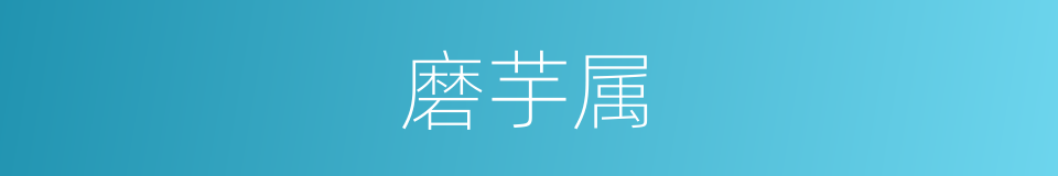 磨芋属的同义词