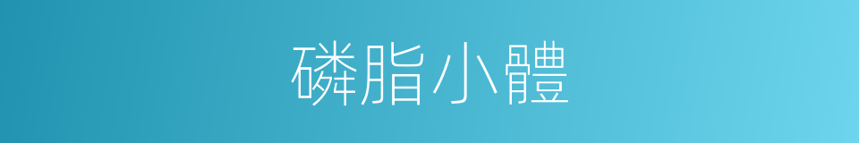 磷脂小體的同義詞