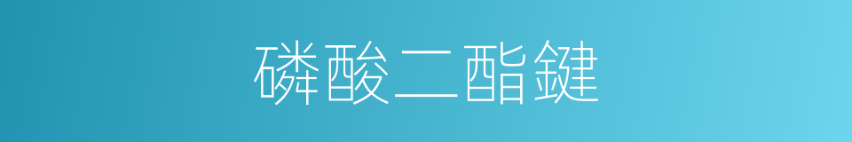 磷酸二酯鍵的同義詞