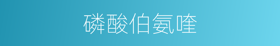 磷酸伯氨喹的同义词