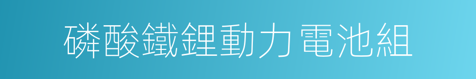 磷酸鐵鋰動力電池組的同義詞