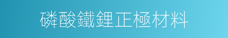 磷酸鐵鋰正極材料的同義詞