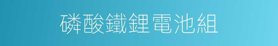 磷酸鐵鋰電池組的同義詞