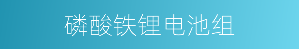 磷酸铁锂电池组的同义词