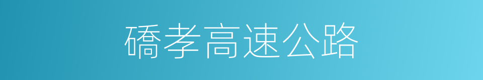 礄孝高速公路的同義詞