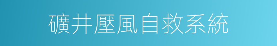 礦井壓風自救系統的同義詞