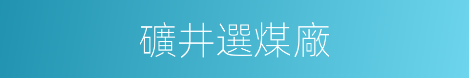 礦井選煤廠的同義詞