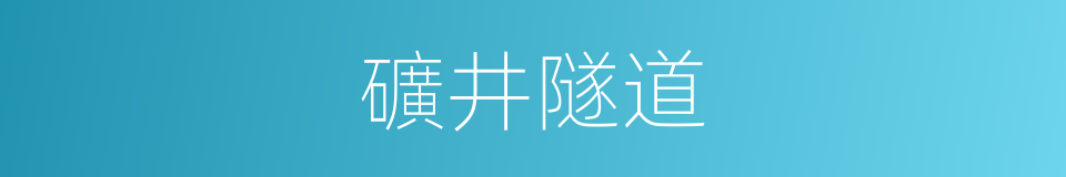 礦井隧道的同義詞