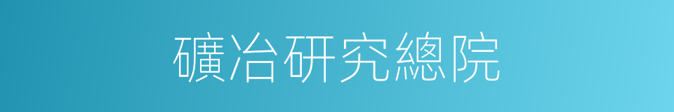 礦冶研究總院的同義詞